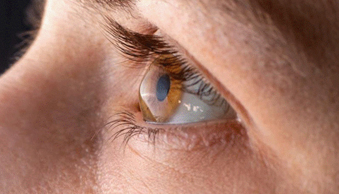 c3d95ec7ba9d16c8c9d32701426953e3_original